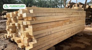 gỗ cao su có bị mối mọt không