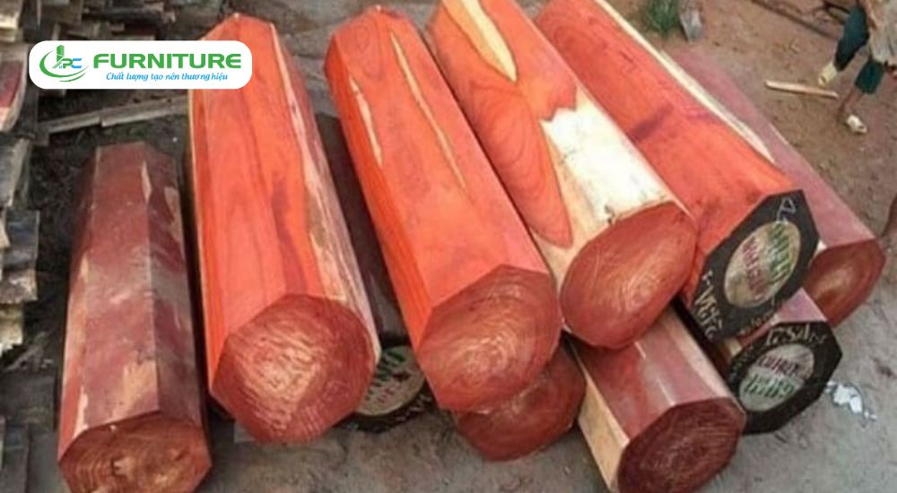 gỗ đàn hương đỏ