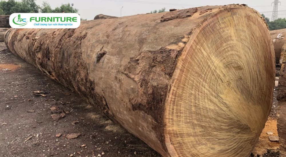 Gỗ lim thuộc nhóm mấy