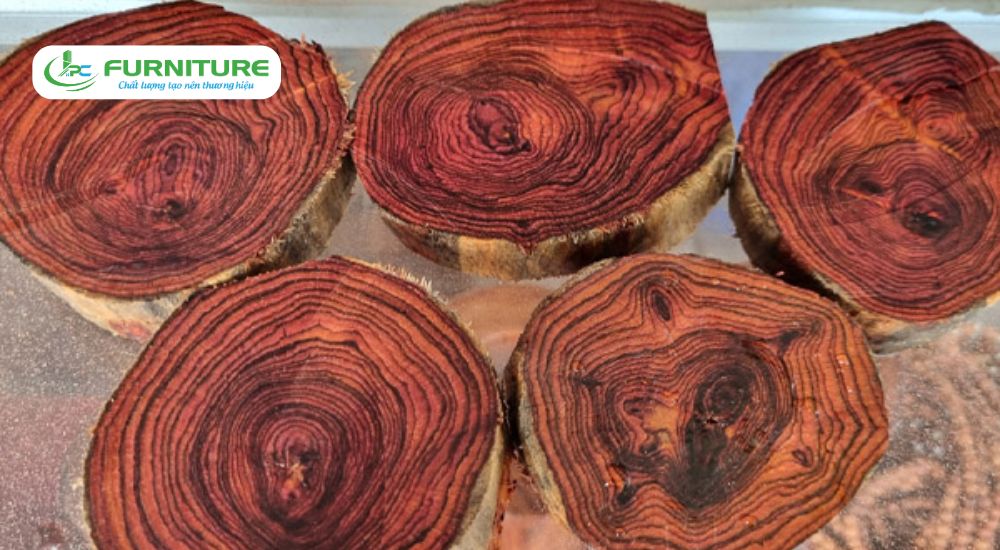 các loại gỗ có mùi thơm