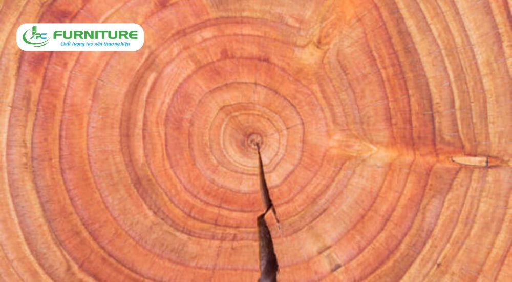 các loại gỗ có mùi thơm