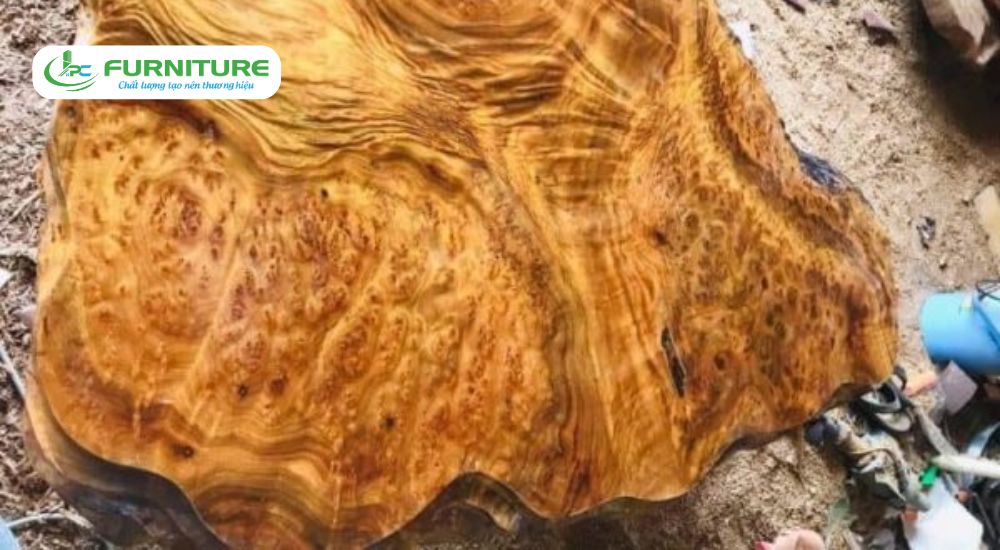 các loại gỗ có mùi thơm