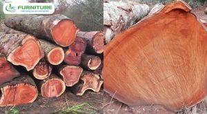 gỗ xoan đào bền đẹp