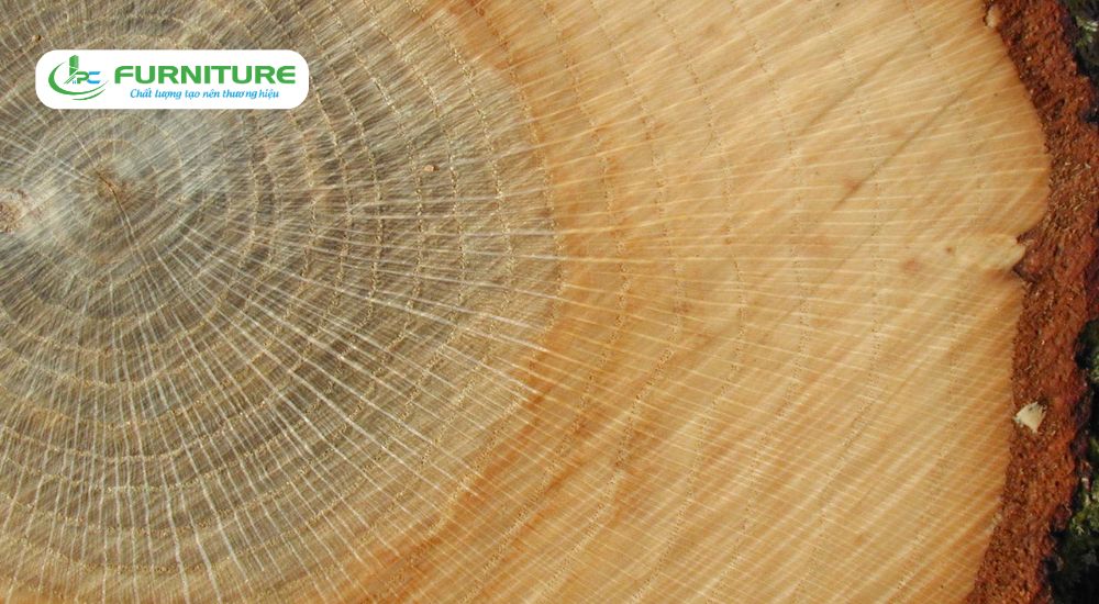 các loại gỗ có mùi thơm