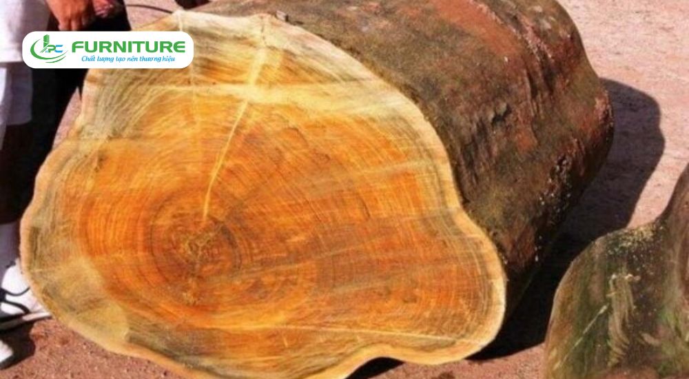 các loại gỗ nhóm 4