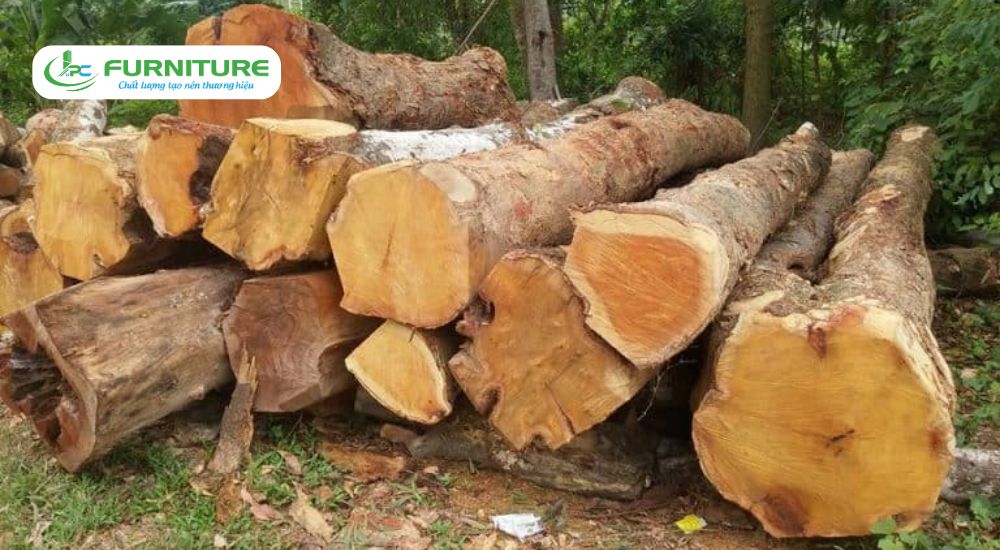 các loại gỗ nhóm 4
