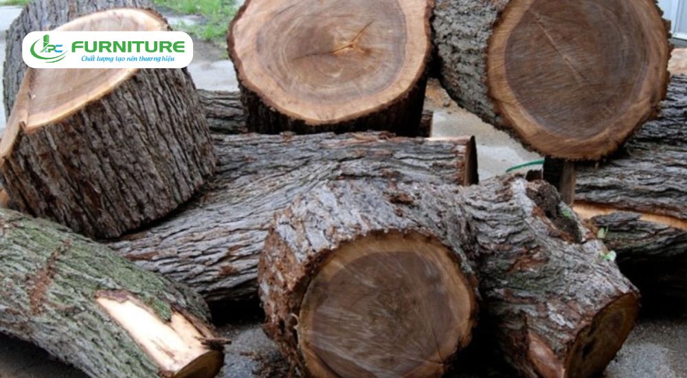 các loại gỗ nhóm 4