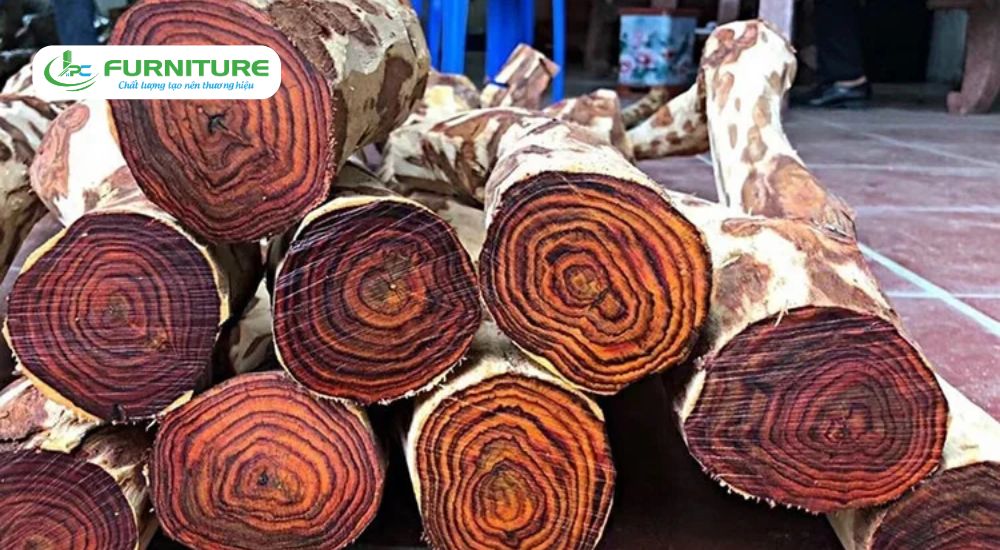 top 10 loại gỗ đắt nhất việt nam