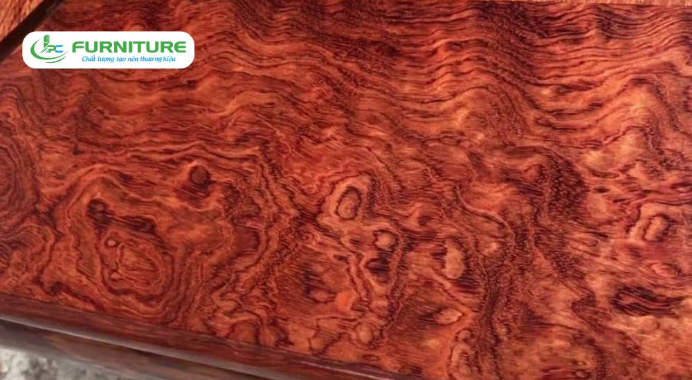 top 10 loại gỗ đắt nhất việt nam