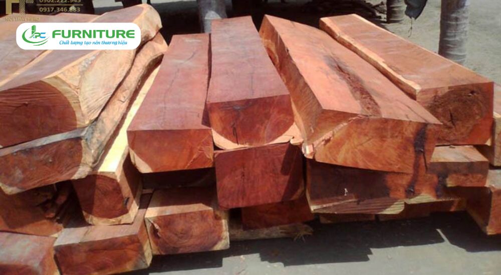 top 10 loại gỗ đắt nhất việt nam