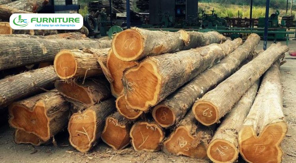 so sánh gỗ lát và gỗ lim