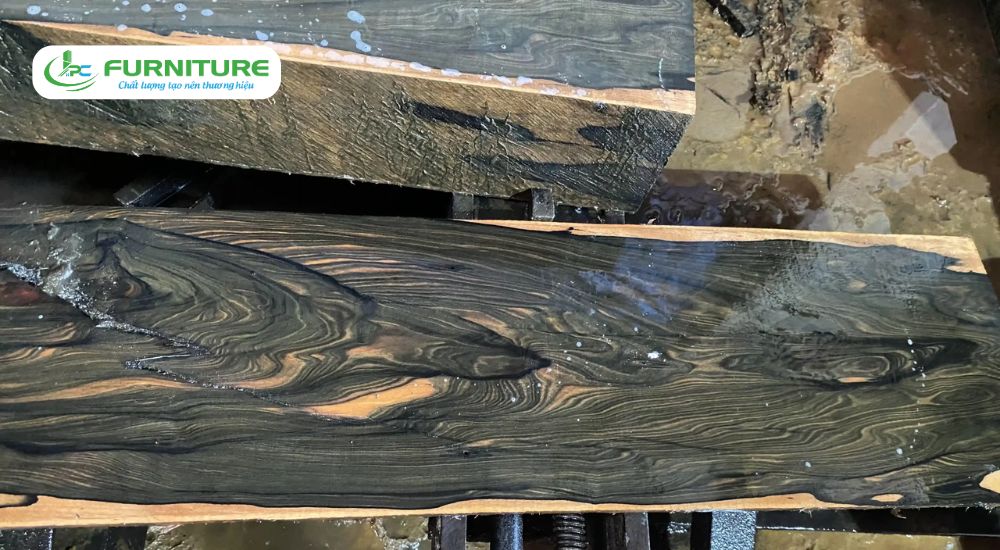 top 10 loại gỗ đắt nhất việt nam