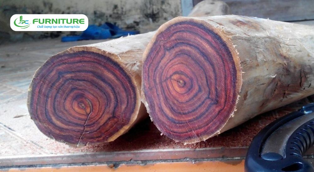 top 10 loại gỗ đắt nhất việt nam