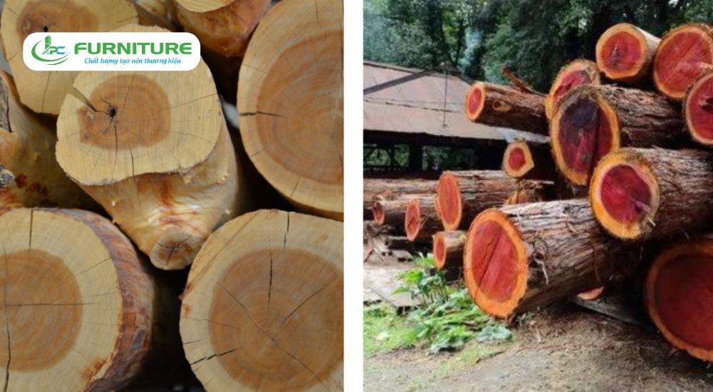 gỗ đàn hương đỏ